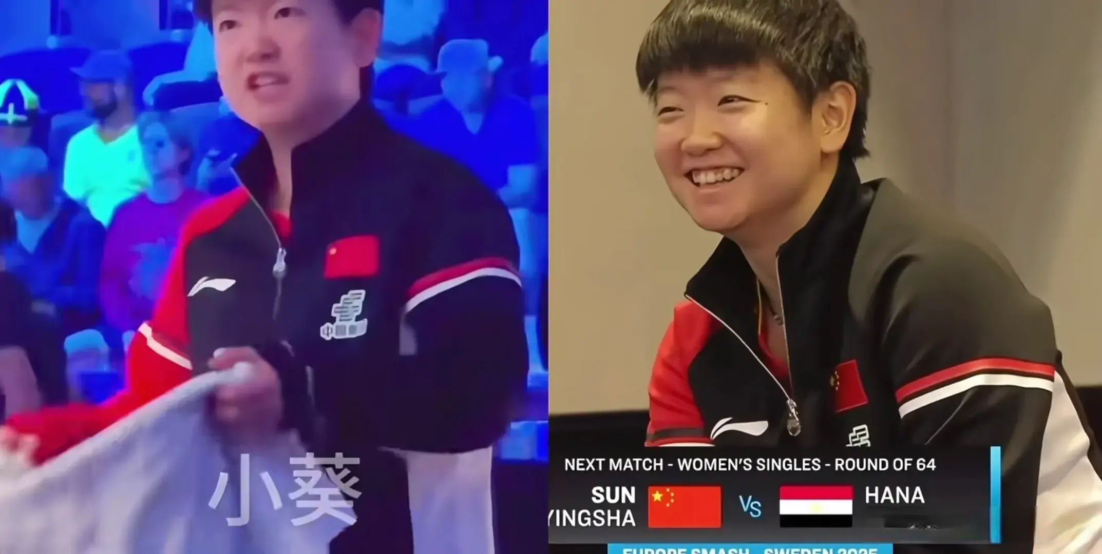 entit, div, 跟莎莎打就