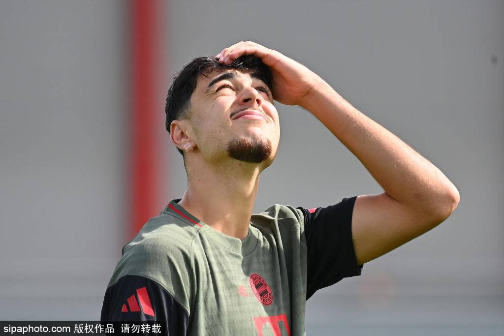 他的职业生, aa 他的职业生, aa